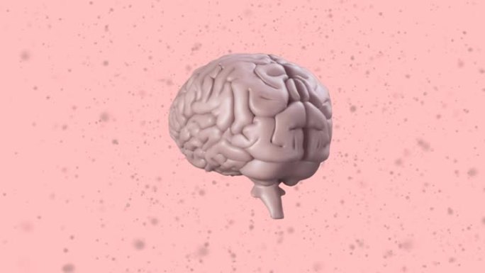 在粉红色背景下用灰色颗粒旋转的人脑动画