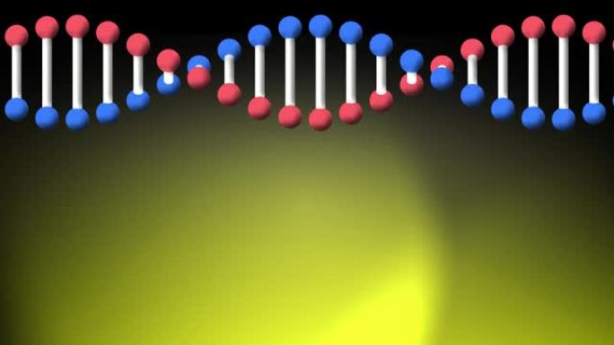 旋转dna链的动画，黑色背景上有黄色聚光灯