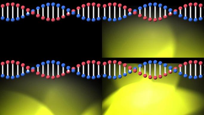 旋转dna链的动画，黑色背景上有黄色聚光灯