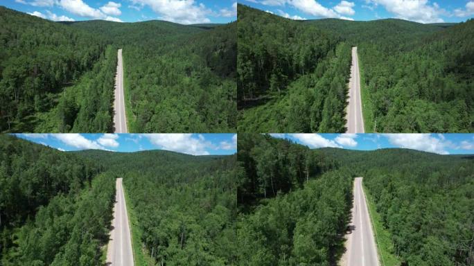 西西伯利亚针叶林生态区的蜿蜒道路