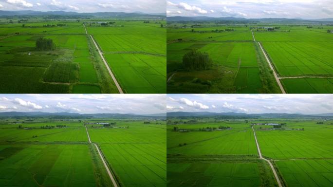 鸟瞰图的农业领域农业发展平原天地大片农田