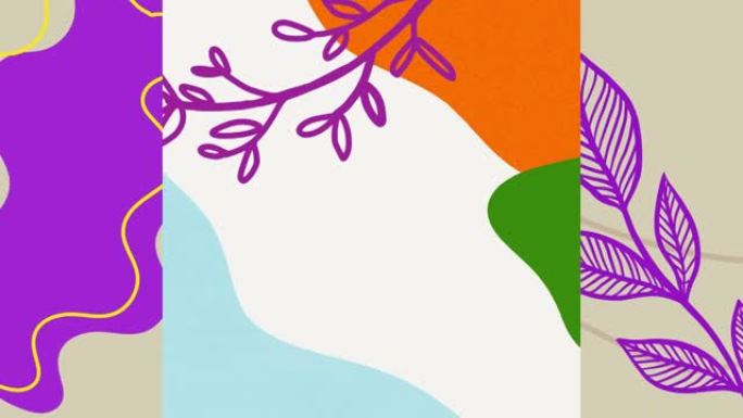 分割背景上彩色有机形状的紫色叶子动画