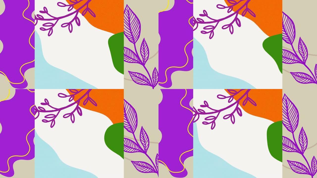 分割背景上彩色有机形状的紫色叶子动画