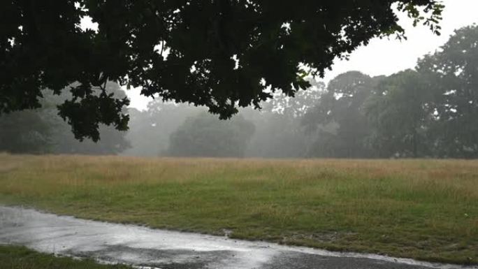 伦敦格林威治公园的夏季倾盆大雨