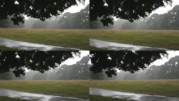 伦敦格林威治公园的夏季倾盆大雨