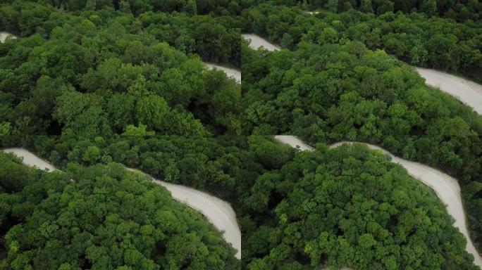 俄罗斯高加索森林背景中夏季绿树的空中俯视图。无人机视角4k镜头。针叶树和落叶树。