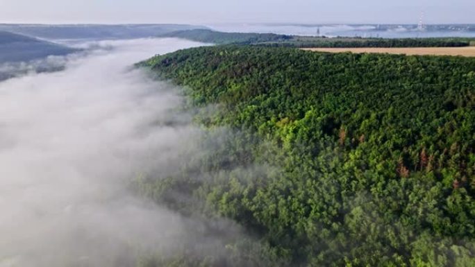 绿色山林的空中无人机视图。在浓雾之上飞行。奇妙的初夏有雾的早晨，平静的背景，放松，地球之美，自然概念