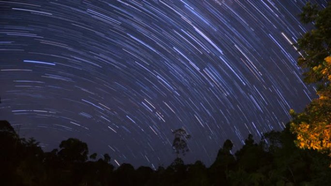 星星踪迹的延时镜头，在夜空中，雨林中的鬃毛塔