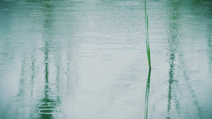 雨滴涟漪