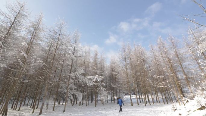 雪景延时