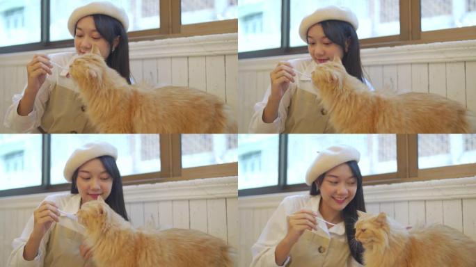4k年轻亚洲妇女给猫喂宠物零食