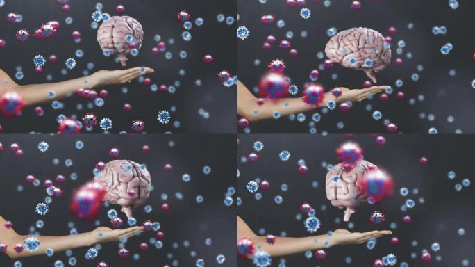人类大脑在女人的手上旋转的covid 19细胞的动画