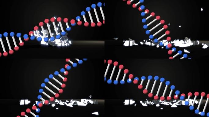 Dna结构在美元货币符号上旋转并在灰色背景下破裂