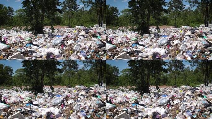 自然界中的垃圾场整顿管理