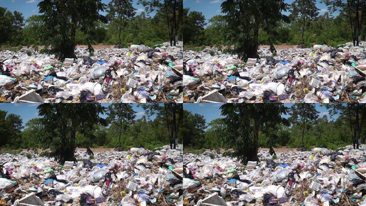 自然界中的垃圾场整顿管理