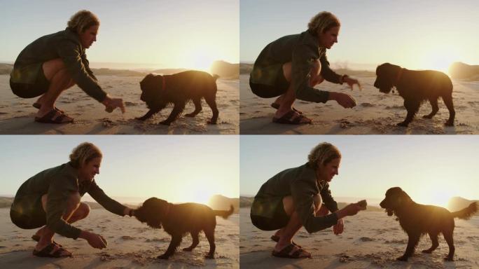 一名年轻的高加索男性在日落时与快乐的狗在海滩上打球。男性看着他的狗。高质量4k镜头