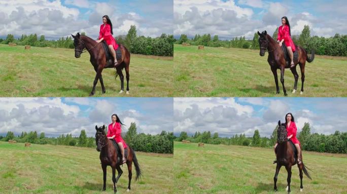 女孩马背爱抚深棕色的马。美丽的梦想年轻女子在可爱的阳光明媚的日子在乡下享受夏天。4k