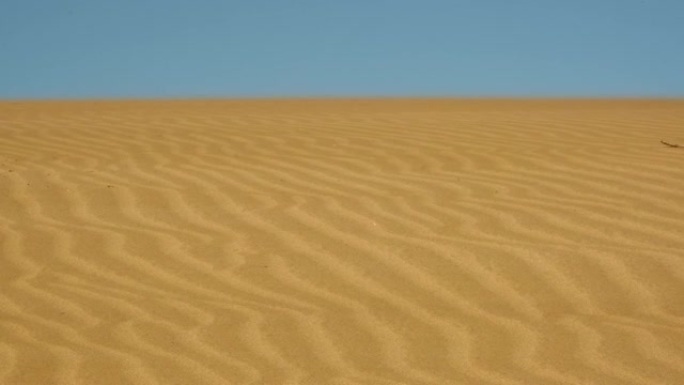 沙漠中的风沙漠中的风风吹沙粒