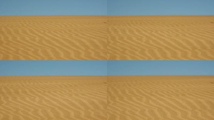 沙漠中的风沙漠中的风风吹沙粒