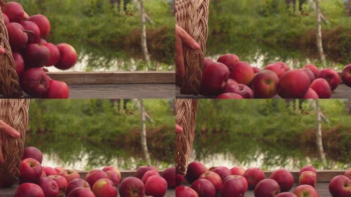 成熟的美味红苹果从户外的篮子里掉下来