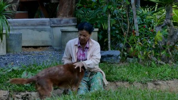 老妇人和泰国狗坐在花园里