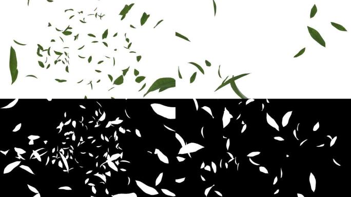 带有alpha层的绿色茶叶流动的3D动画