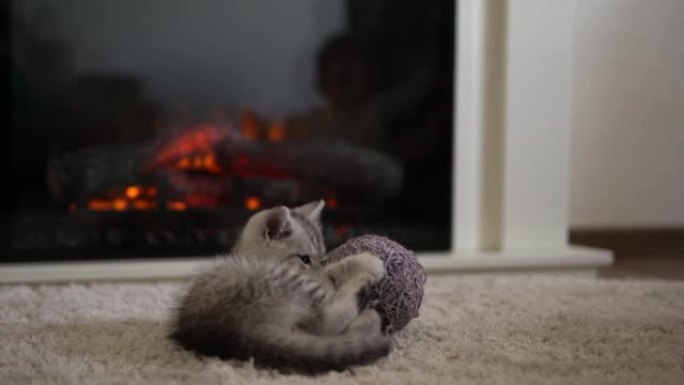 婴儿玩猫。家里燃烧壁炉附近地毯上的雄猫。条纹小猫玩线球。凯蒂跑了，看着相机。快乐可爱的宠物，童年，狂