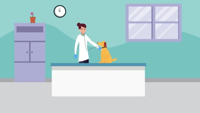 兽医用听诊器检查一只生病的狗