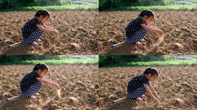 小女孩拿着手中的土壤玩耍
