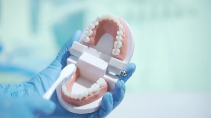 带假牙的牙医在牙医办公室学习如何牙齿