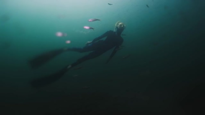 湖自由潜水。女人在Turgoyak的淡水湖水下游泳，并与鱼一起享受海底世界