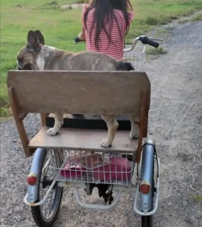 一个年轻女孩喜欢和她可信赖的狗一起骑三轮车。