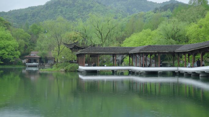 春天杭州乌龟潭阴雨天古建筑植物绿色自然