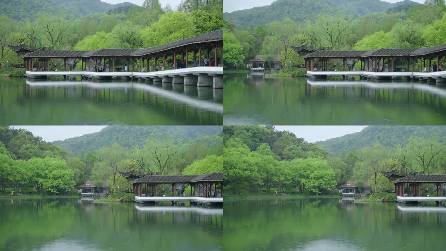 春天杭州乌龟潭阴雨天古建筑植物绿色自然