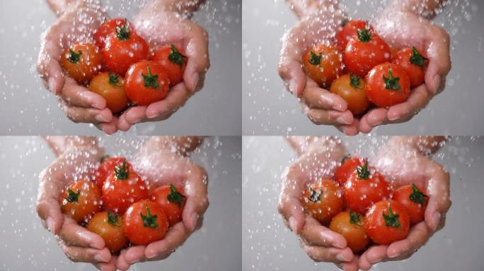 农场里的新鲜蔬菜水滴溅到有机番茄上