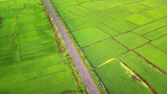 穿越农业领域的公路旅行