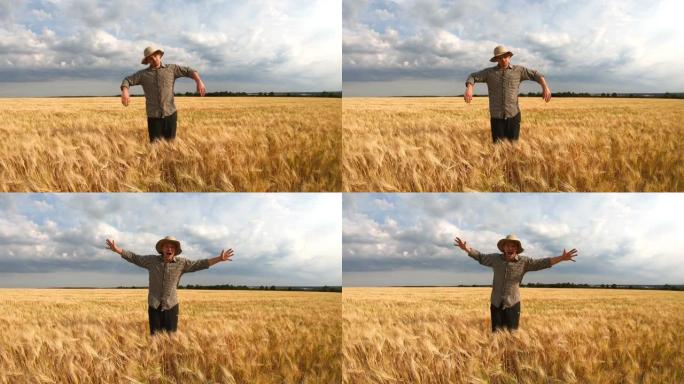 年轻的农艺师站在成熟的大麦草地上，看起来像稻草人。男农民在金麦田鬼混，滑稽地吓唬人。农业商业概念。慢
