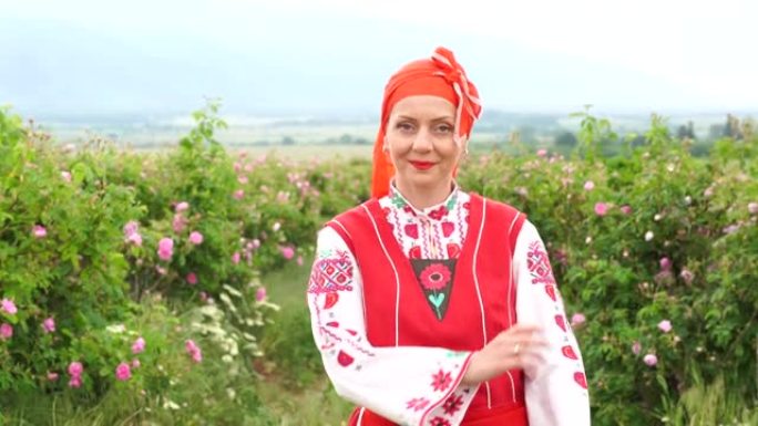 4k中年微笑的女人，穿着保加利亚传统民俗服装，走在锦缎油玫瑰花盛开的灌木丛中。