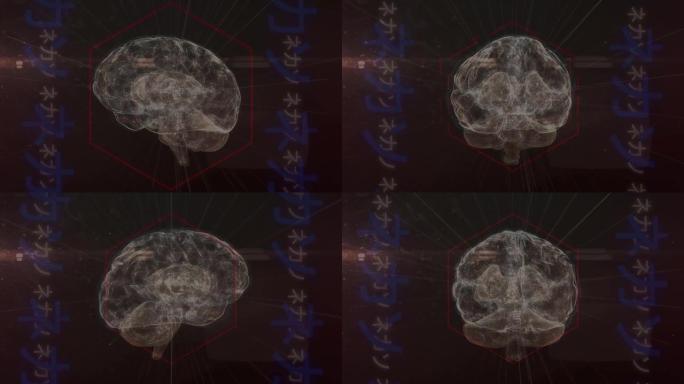 黑色背景上的数字大脑动画