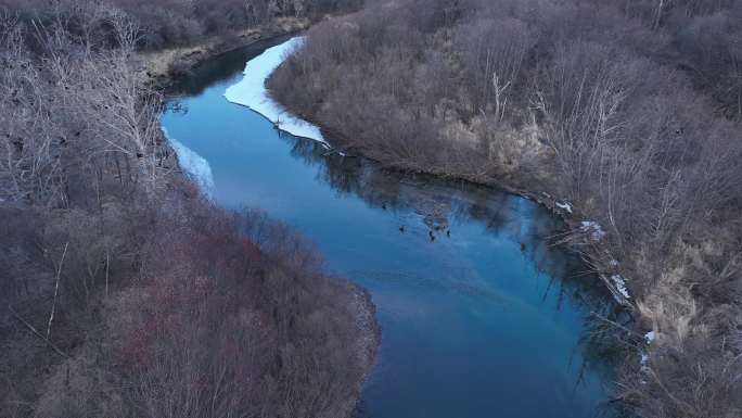 湿地河流残冰候鸟苍鹭