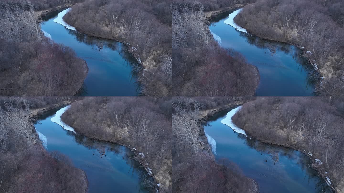 湿地河流残冰候鸟苍鹭