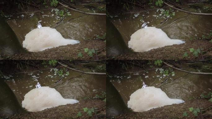 大雨后，在瀑布底部的小森林溪流表面形成的大的脏浮渣泡沫球。阴天，实时，没有人