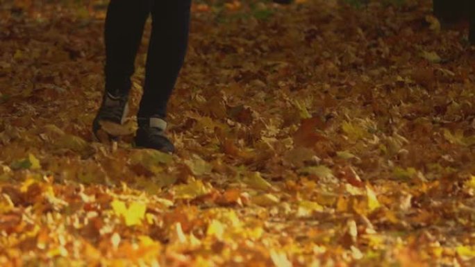 走在秋天公园落枯的金叶上。在黄叶地毯上行走的女性腿的特写。自然壁纸，美丽的风景，秋天的背景。慢动作。