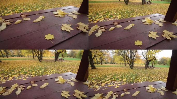 城市公园凉亭的桌子上的秋叶。地上是一片秋天落叶的地毯。特写镜头