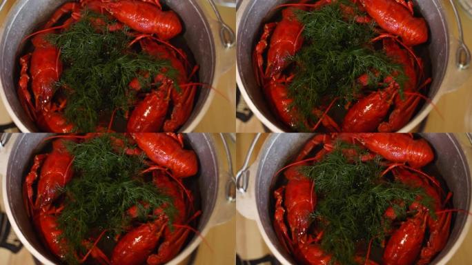 在锅里蒸龙虾海鲜。煮沸的红色小龙虾在平底锅中蒸，厨师提供豪华的海鲜。慢动作中的蒸汽