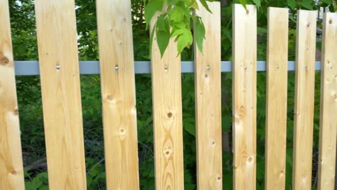 夏天的木板棕色木栅栏