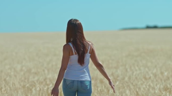 长发的年轻女子沿着金色的田野行走，用手抚摸她的头发。走在麦田里，一道美丽的风景。后视图。4k，普洛雷