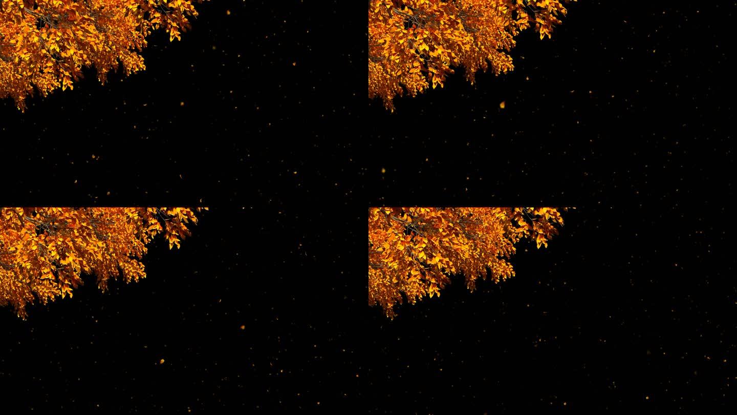 秋天黄树叶飘落-带透明通道