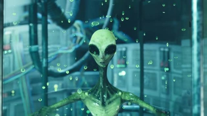 外星人在高科技实验室的绿色液体实验室的实验室水族馆中。该动画是为外星人，科幻或太空旅行而设计的。外星