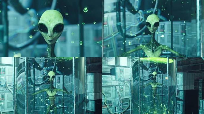 外星人在高科技实验室的绿色液体实验室的实验室水族馆中。该动画是为外星人，科幻或太空旅行而设计的。外星